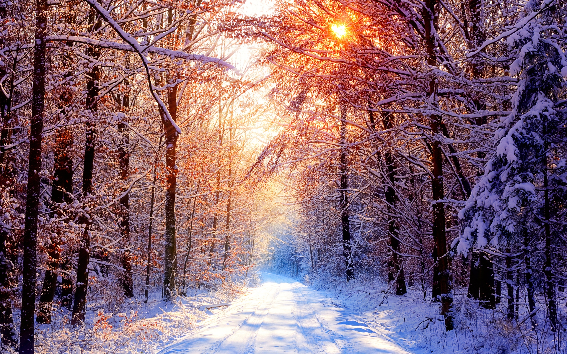 Image result for beautiful winter day