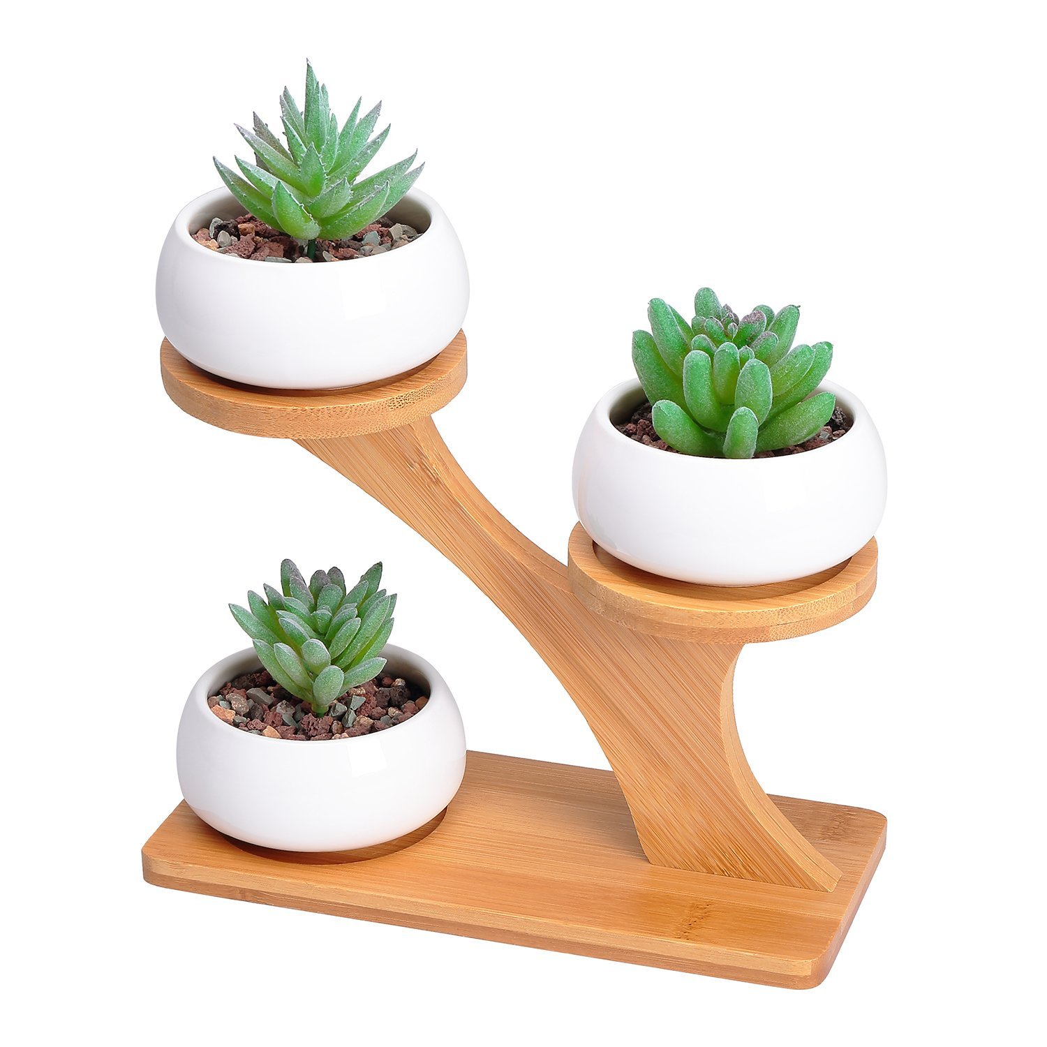 Coolest Mini Succulent Planters That You Can Buy Online ...