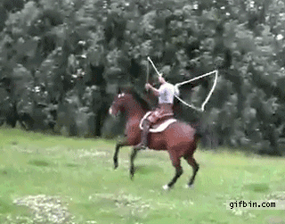 Horse skipping