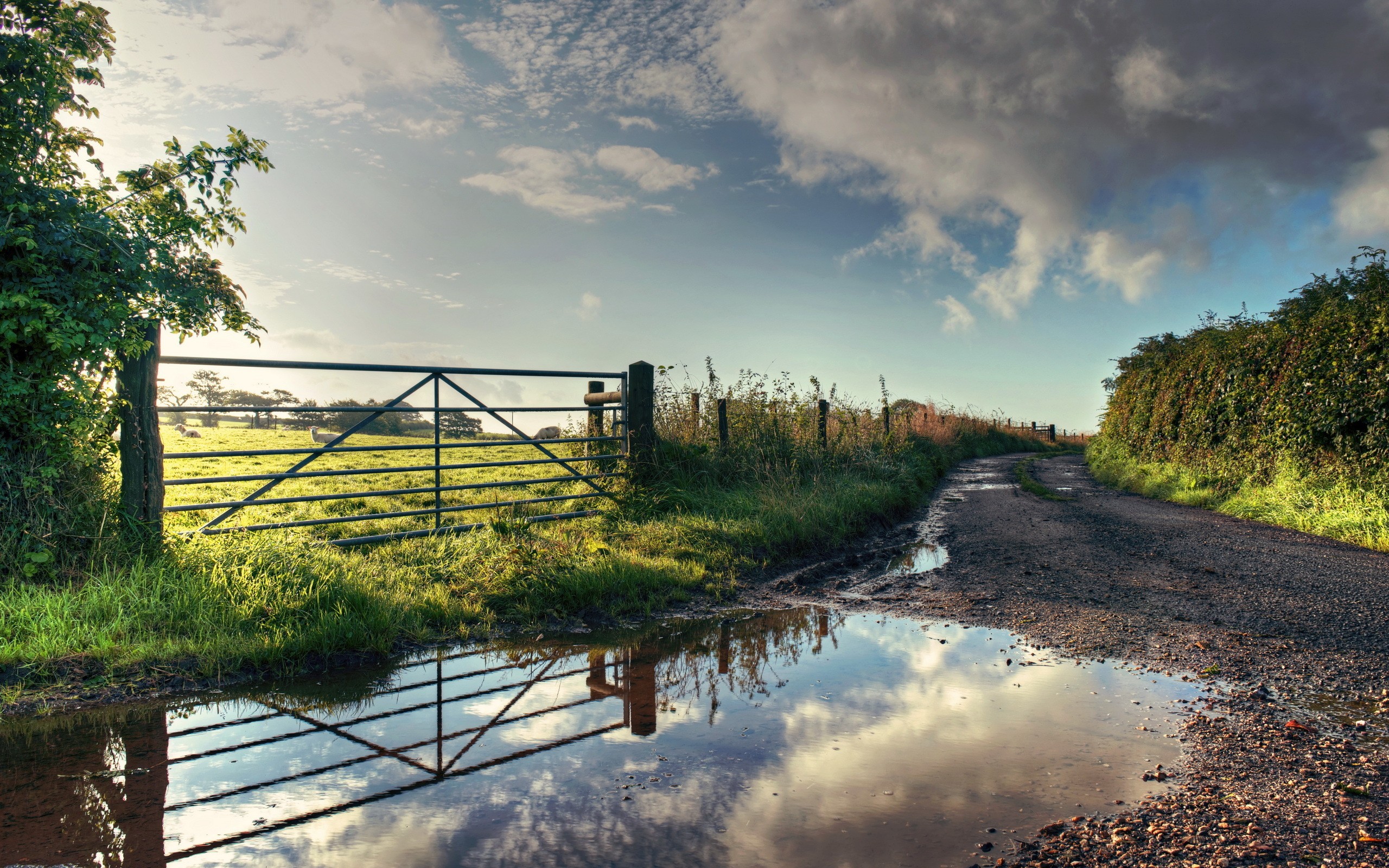 Daily Wallpaper Countryside  I Like To Waste My Time