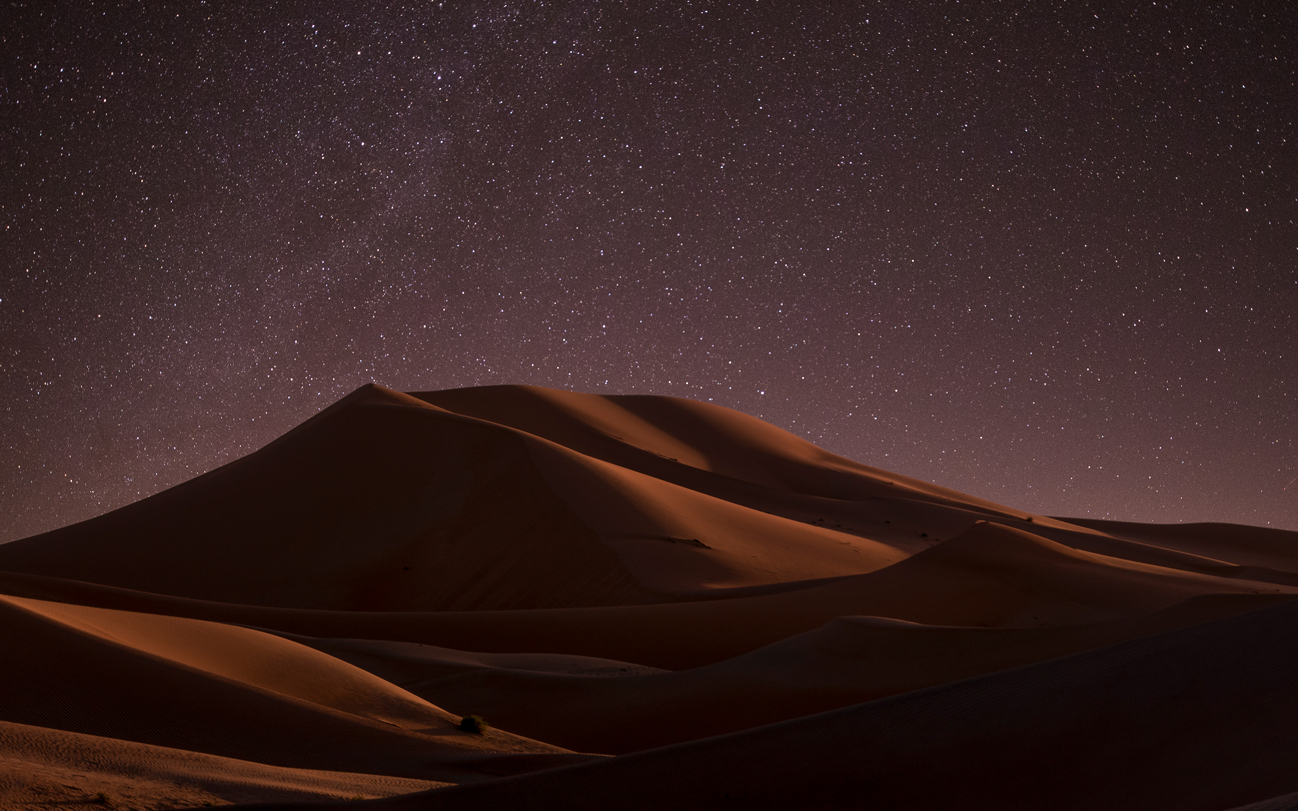 Image result for desert at night