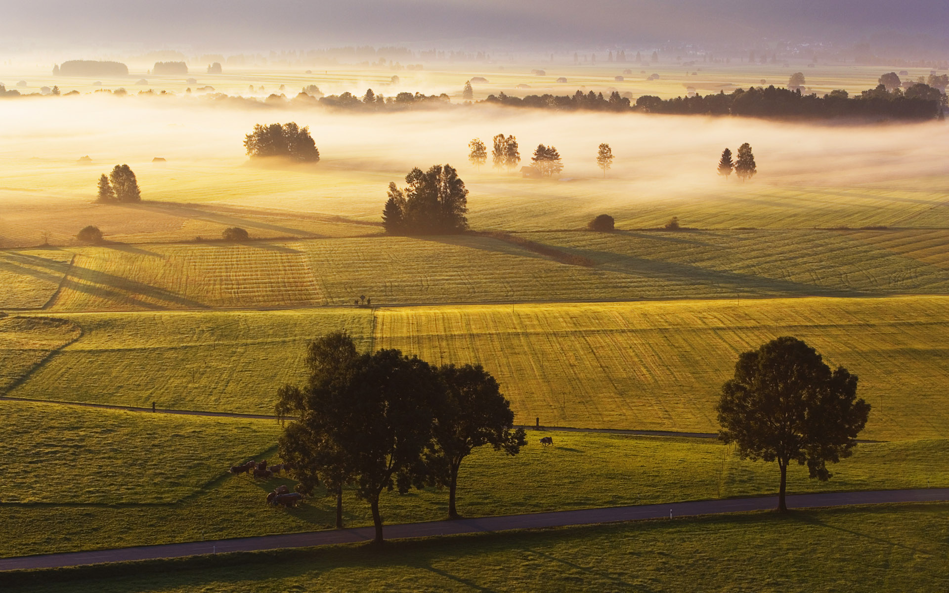 Daily Wallpaper: Germany Nature Landscape  I Like To 