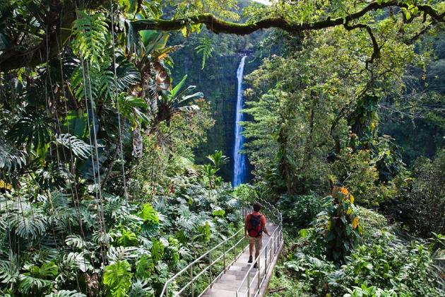 Akaka Falls State Park