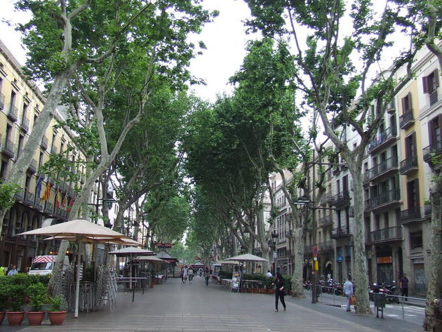 Barcelona Street