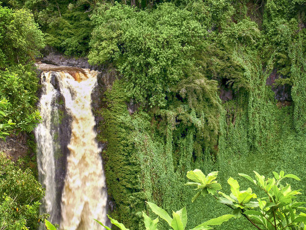 Haleakala-National Park Waimoku Falls Trail