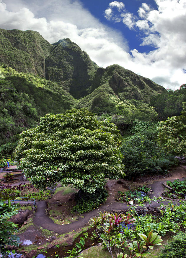 Iao Valley State Park