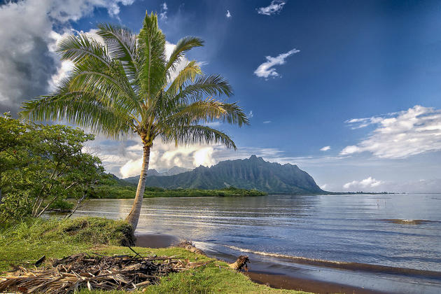 North Shore Oahu