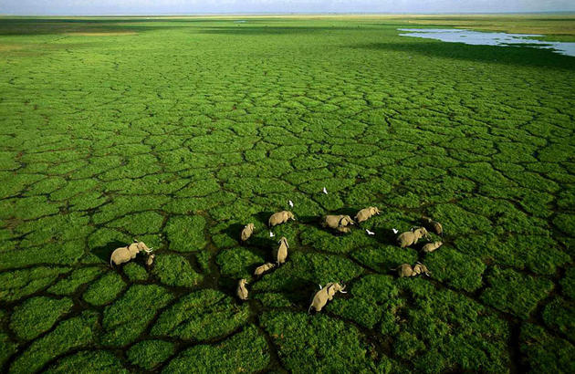 Aerial Africa by George Steinmetz