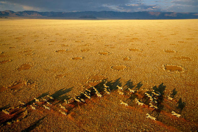 Aerial Africa by George Steinmetz