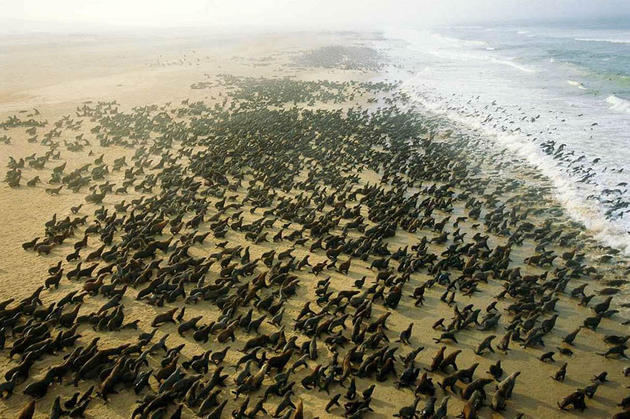 Aerial Africa by George Steinmetz