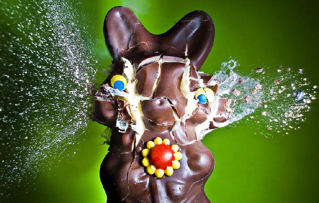 Chocolate bunny