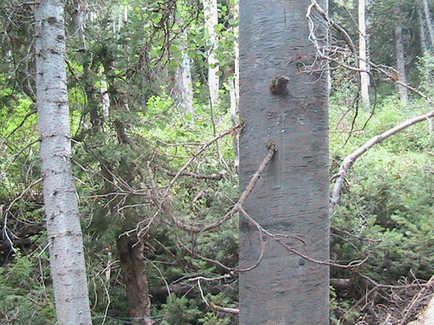 Artificial tree to conceal air ventilation