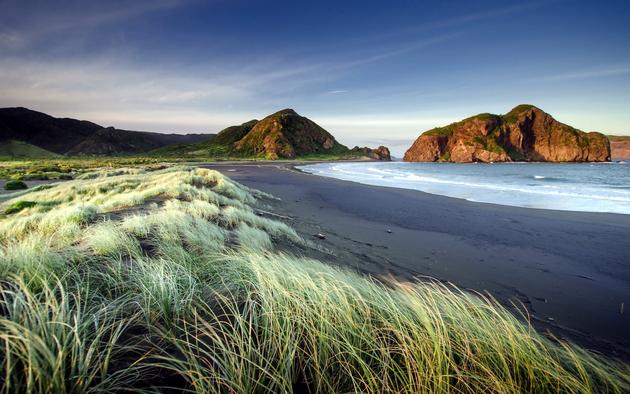 Auckland, New Zealand Wallpaper by Nick Twyford