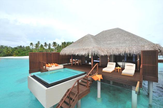 amazing maldives