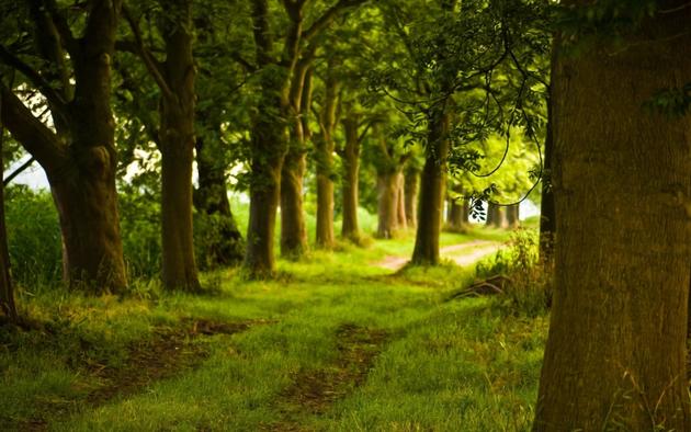 Back road at a farm