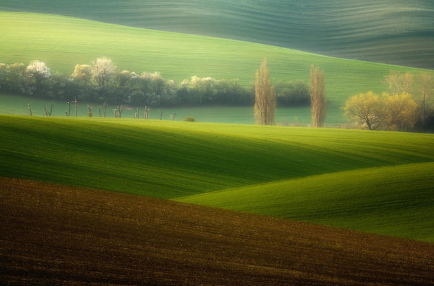 Moravian Fields Green Krzysztof Browko