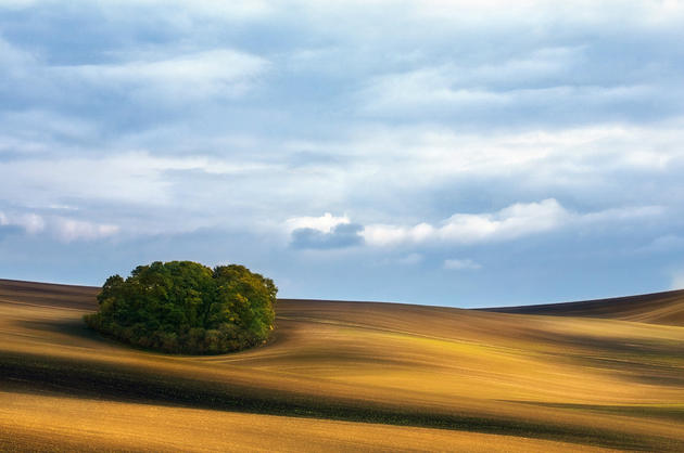 Moravian Fields Green Krzysztof Browko