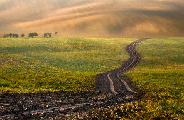 Moravian Fields Green Krzysztof Browko