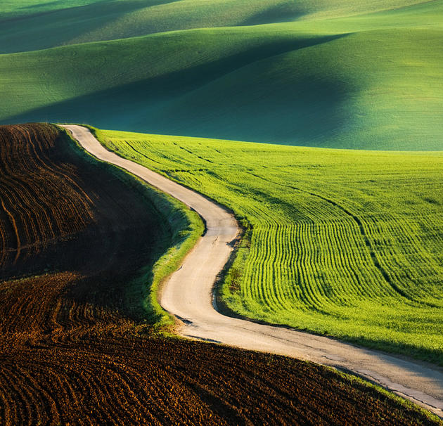 Moravian Fields Green Krzysztof Browko