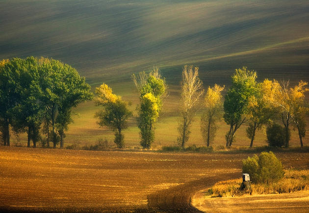 Moravian Fields Green Krzysztof Browko