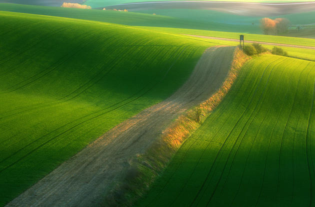 Moravian Fields Green Krzysztof Browko