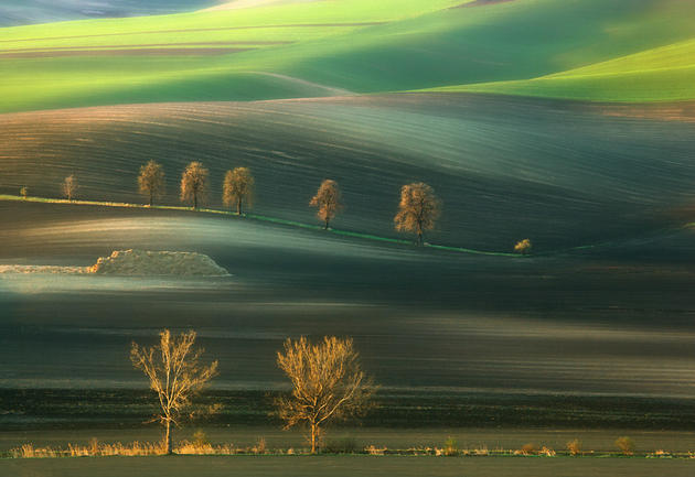 Moravian Fields Green Krzysztof Browko