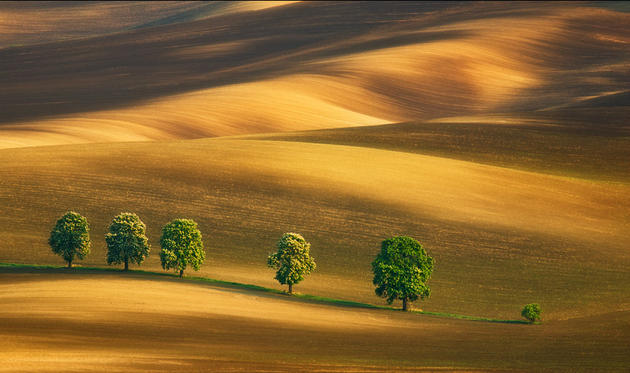 Moravian Fields Green Krzysztof Browko