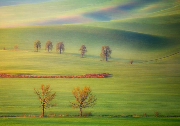 Moravian Fields Green Krzysztof Browko