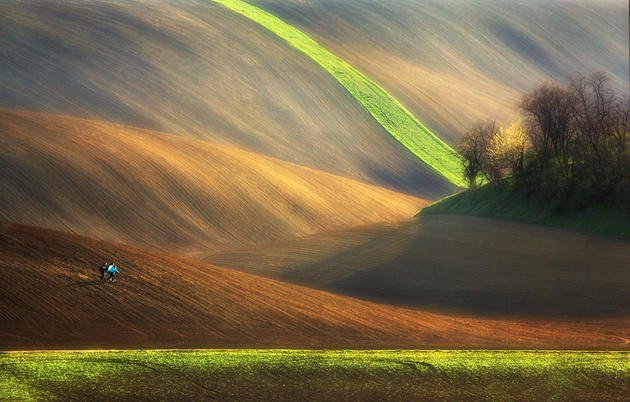 Moravian Fields Green Krzysztof Browko