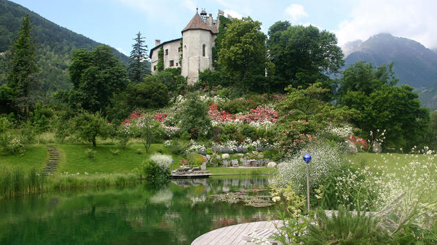 Beautiful Outdoor Natural Pool by BIOTOP