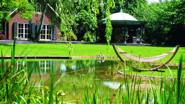 Extremely Green Garden with a Natural Pool