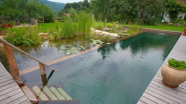 Stairs leading into a natural pool