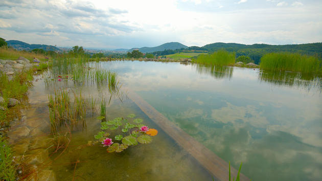 Stunning natural private pool