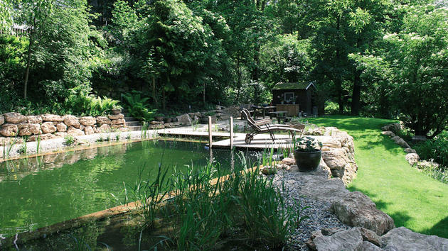 Deep green coloured pool