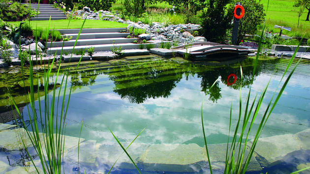 Natural pool with cat tails inside