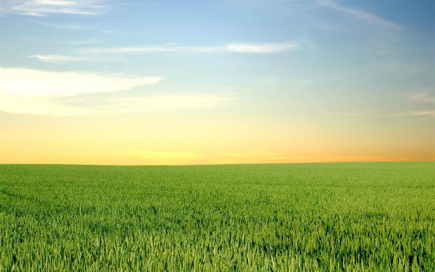 Blue Skies and Green Fields Wallpaper for Mac or PC