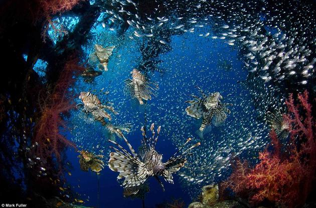 wide angle underwater