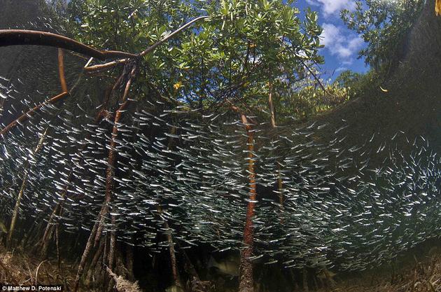 wide angle river underwater