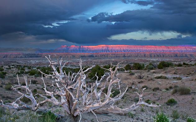 Capitol Reef National Park