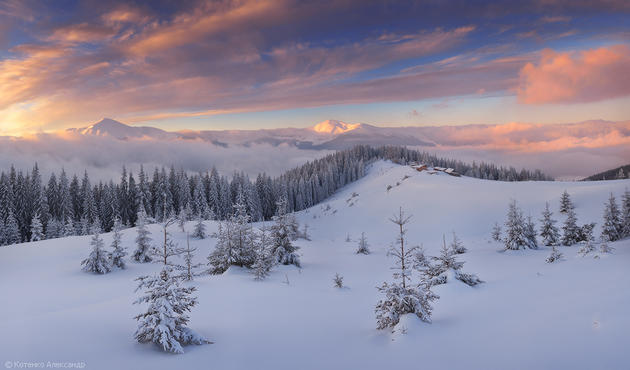 Snowy Carpathian Mountain Range by Alexander Kotenko