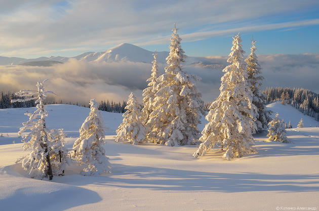 Snowy Carpathian Mountain Range by Alexander Kotenko