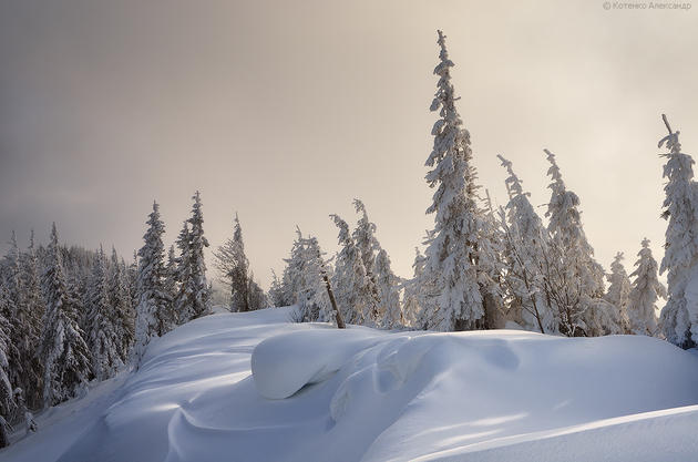 Snowy Carpathian Mountain Range by Alexander Kotenko