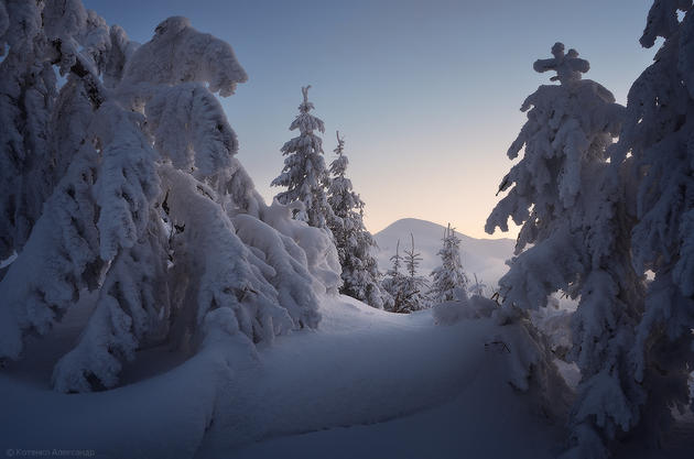 Snowy Carpathian Mountain Range by Alexander Kotenko