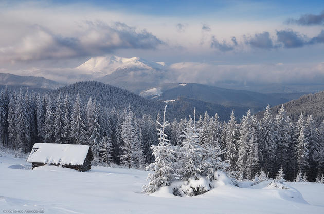 Snowy Carpathian Mountain Range by Alexander Kotenko