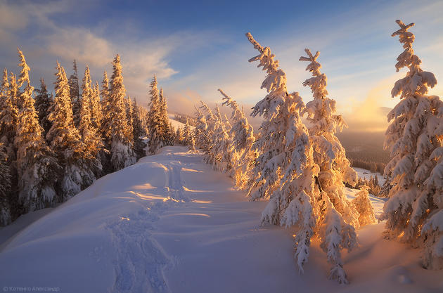 Snowy Carpathian Mountain Range by Alexander Kotenko