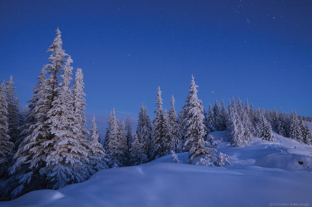 Snowy Carpathian Mountain Range by Alexander Kotenko