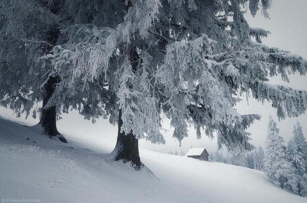 Snowy Carpathian Mountain Range by Alexander Kotenko