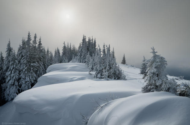 Snowy Carpathian Mountain Range by Alexander Kotenko