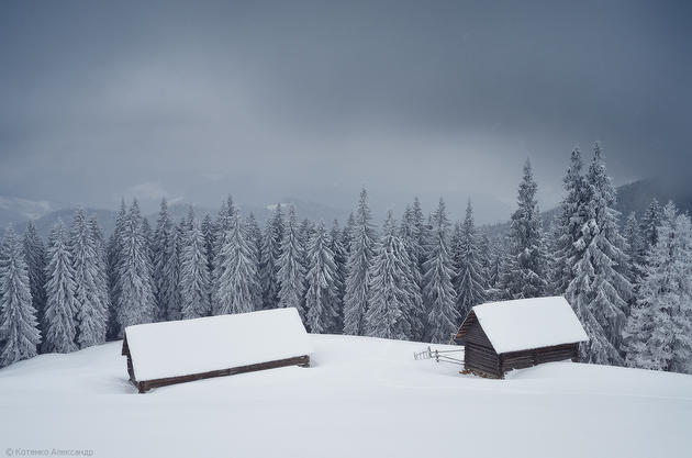 Snowy Carpathian Mountain Range by Alexander Kotenko