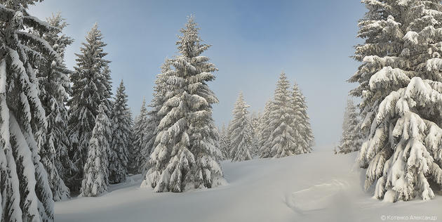 Snowy Carpathian Mountain Range by Alexander Kotenko